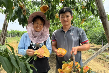 极致时效：顺丰按下加速键